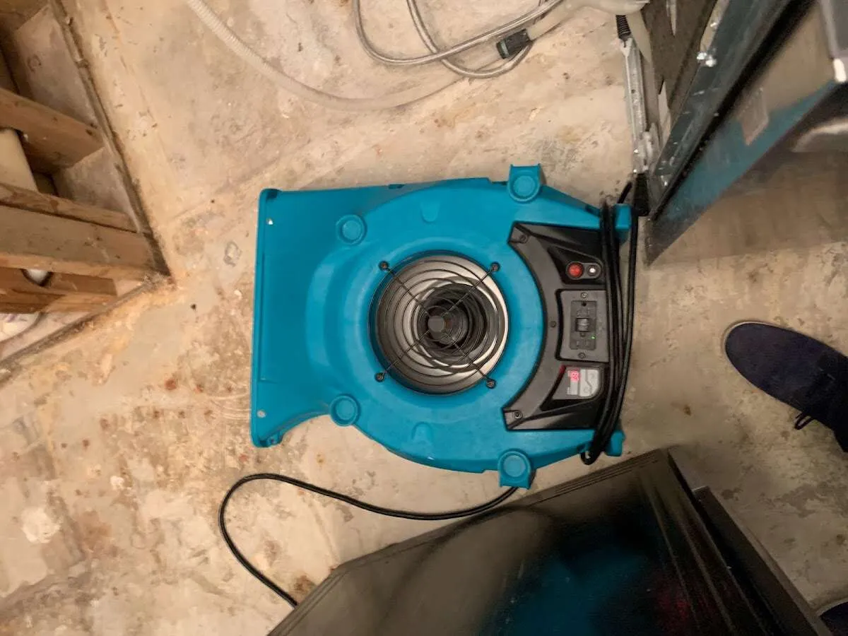 Air mover drying equipment for Mold Remediation & Removal in Rohnert Park