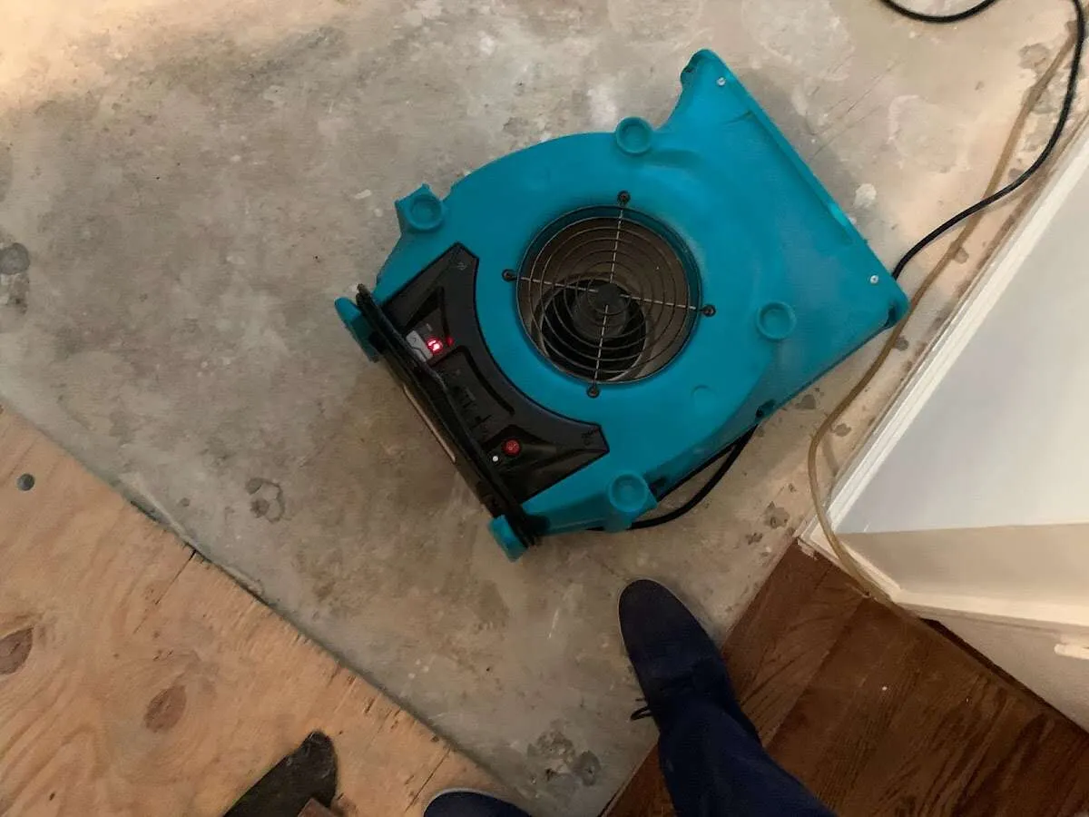 Air mover drying subfloor during Leak Detection & Repair in Rohnert Park